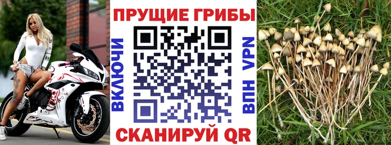 Псилоцибиновые грибы мухоморы  Кизилюрт 